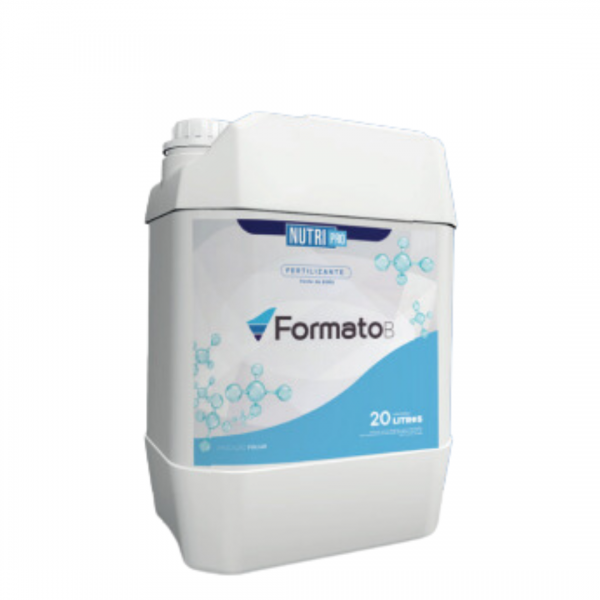 Formato B
